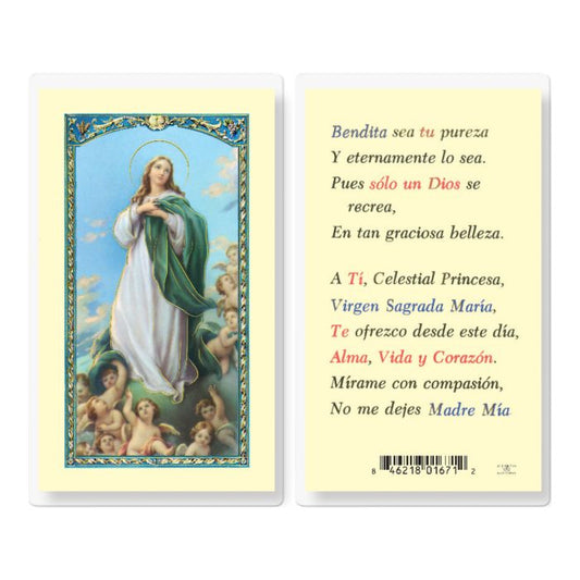 Lovely Lady Dressed In Blue Holy Card