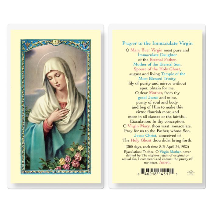 Prayer To Immaculate Virgin Holy Card