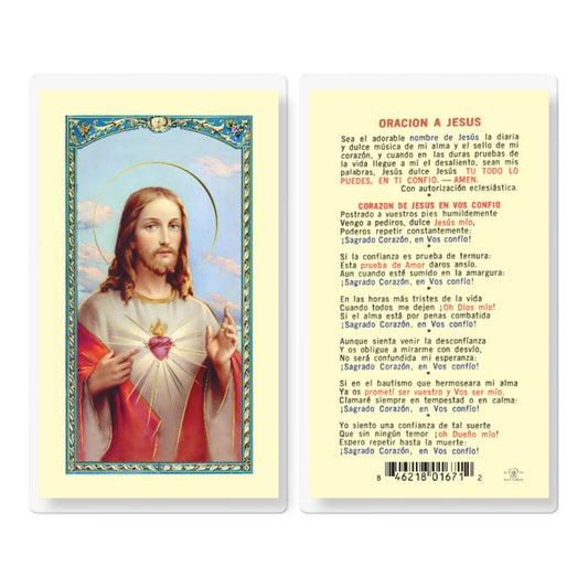 Sacred Heart of Jesus Prayer Holy Card