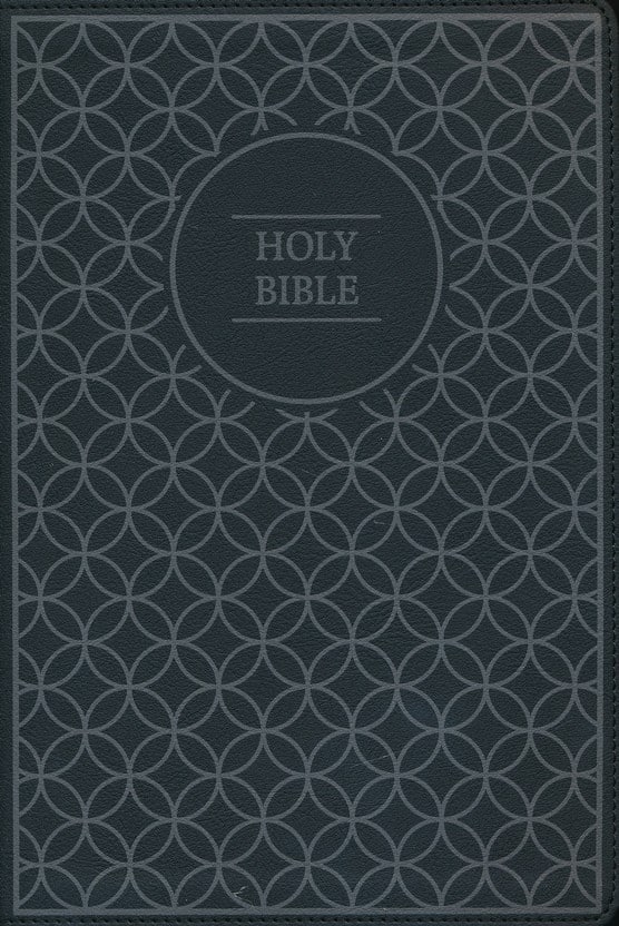 NIV Value Thinline Bible Large Print