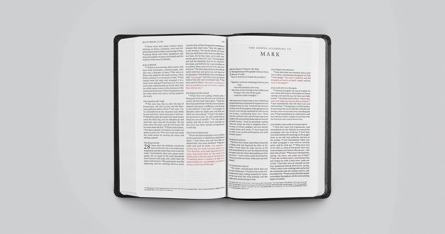 ESV Premium Gift Bible | Midnight Flame