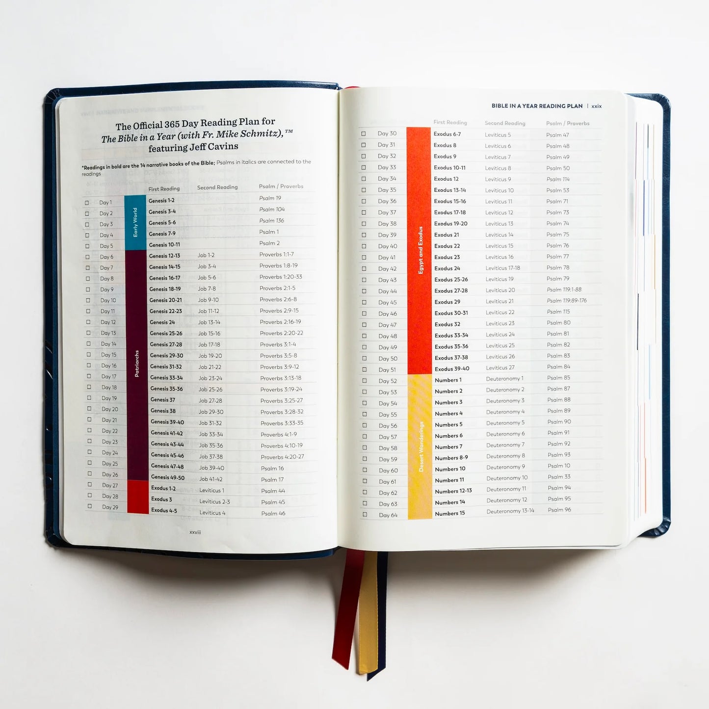 The Great Adventure Catholic Bible, Second Edition