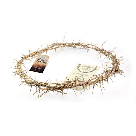 24" Crown of Thorns