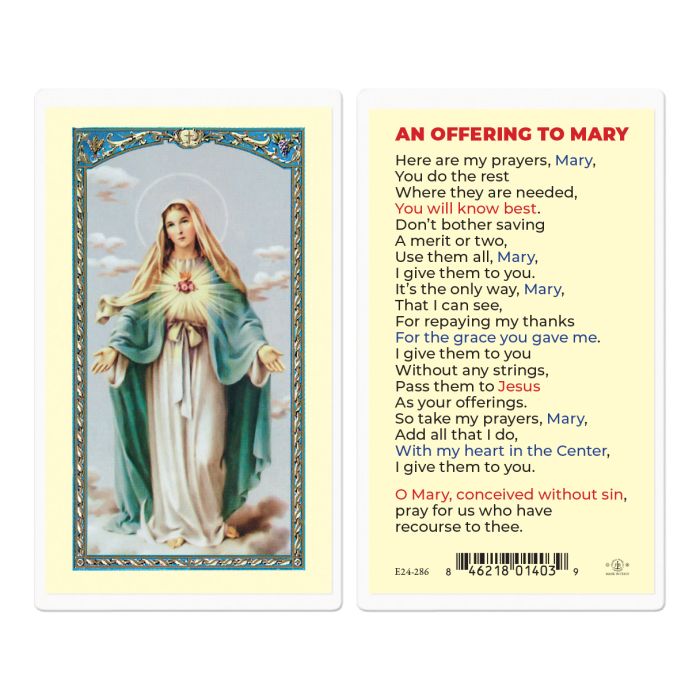 An Offering to Mary Immaculate Heart of Mary Holy Card