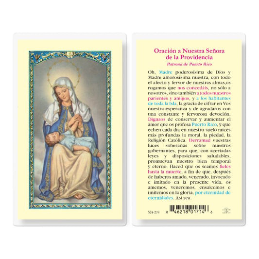 Our lady of Divine Providence Holy Card