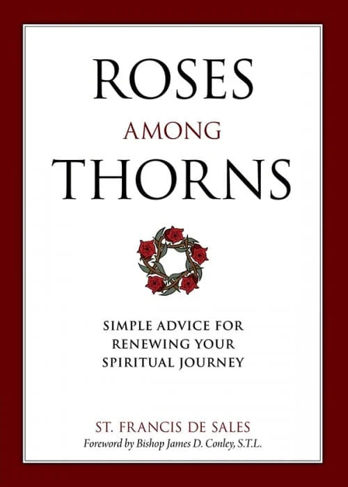 Roses Among Thorns | Simple Advice for Renewing Your Spiritual Journey