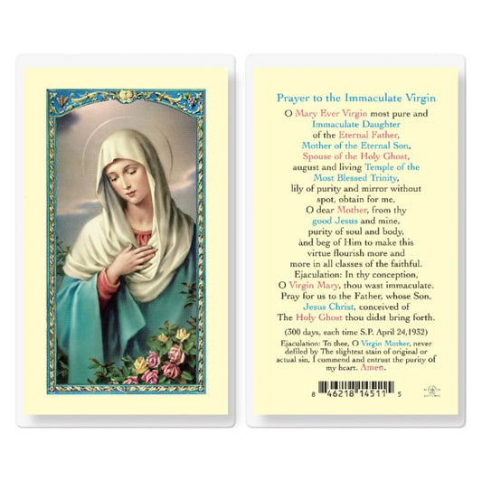 Prayer To Immaculate Virgin Holy Card