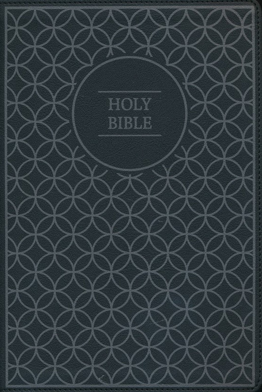 NIV Value Thinline Bible Large Print
