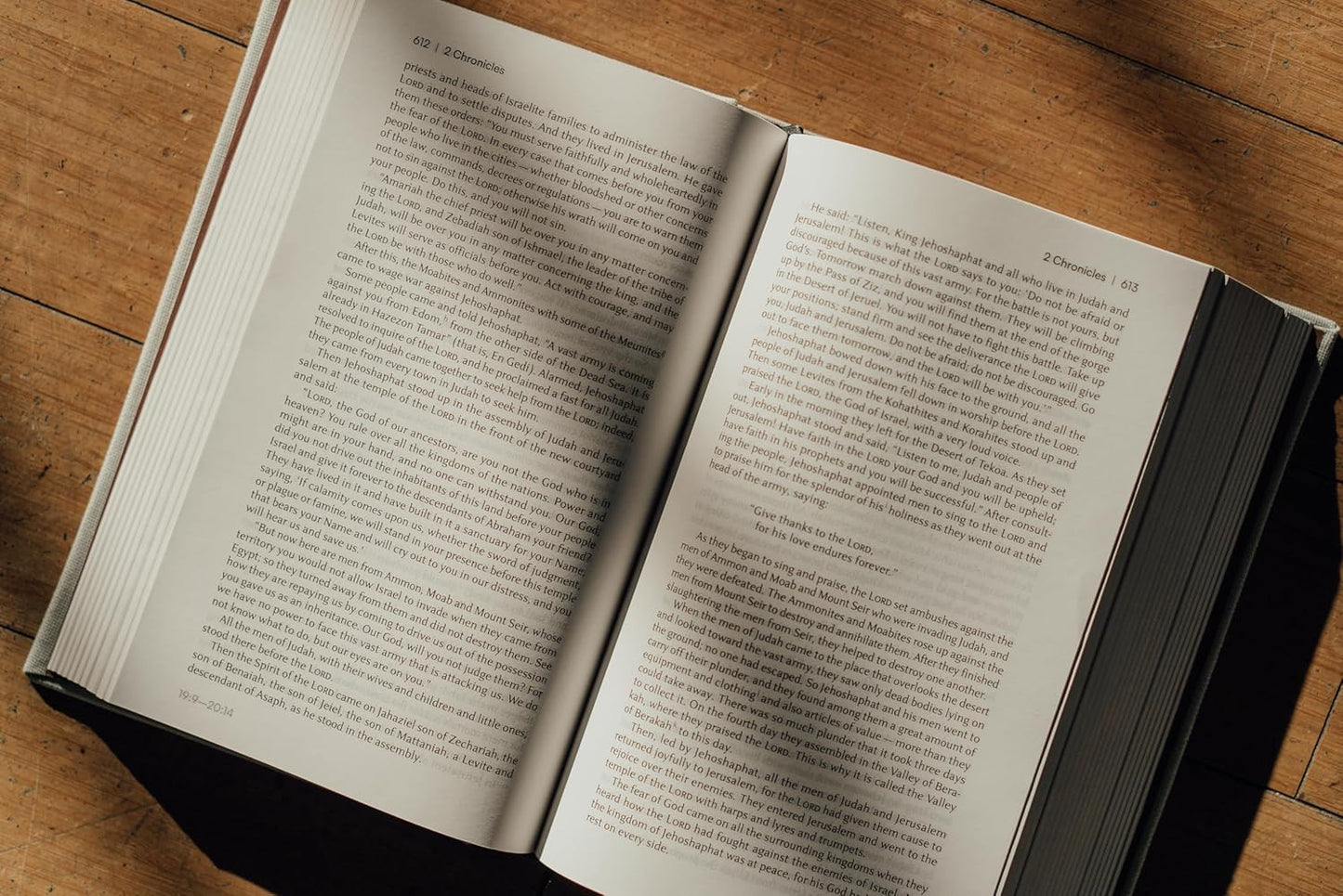 NIV Lectio Bible: A simple, ancient way to read the library of Scripture