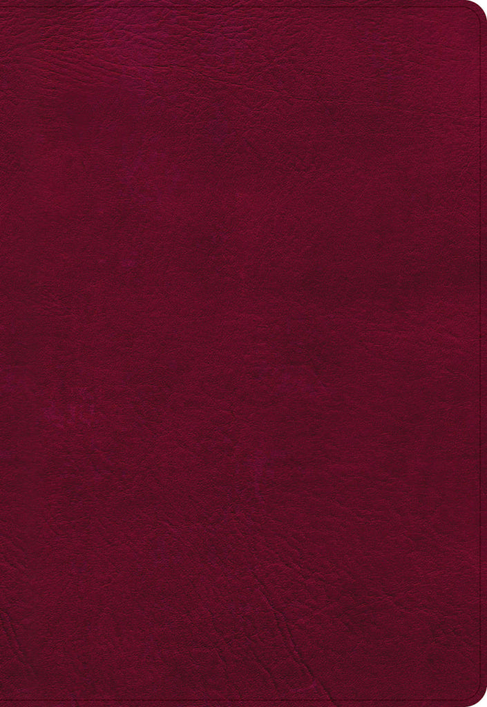NASB Super Giant Print Reference Bible