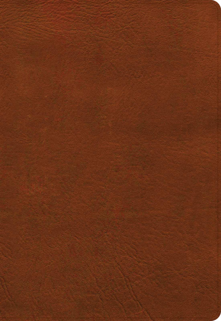 NASB Super Giant Print Reference Bible