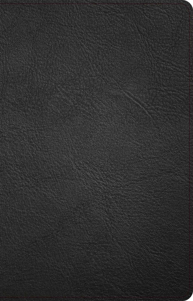 NASB Large Print Thinline Bible