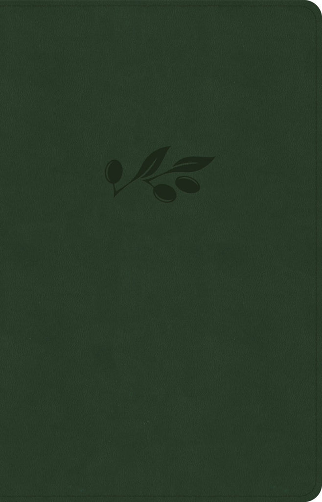 NASB Large Print Thinline Bible