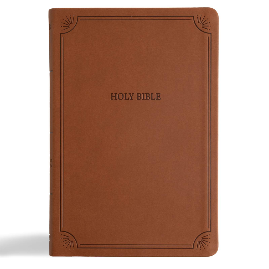 NASB Large Print Thinline Bible