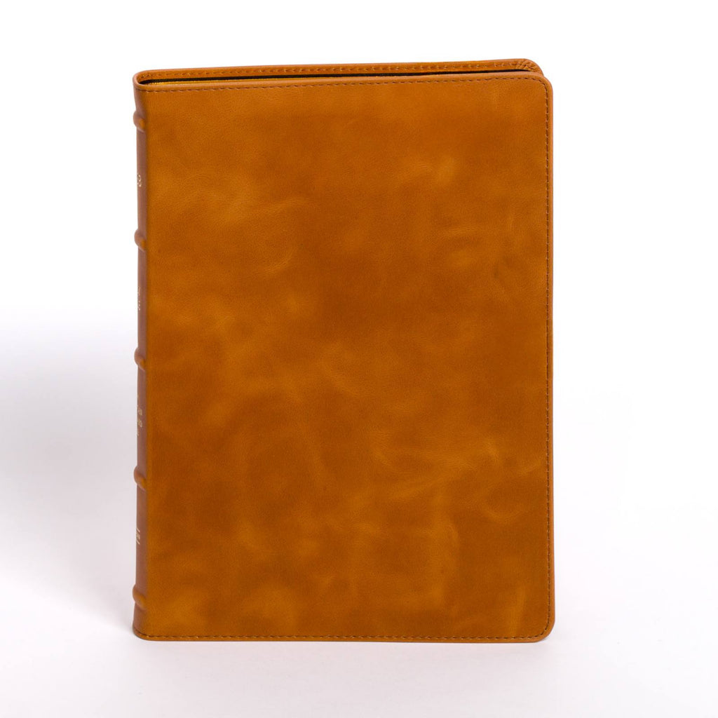 NASB Large Print Thinline Bible