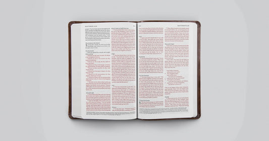 ESV Premium Gift Bible | TruTone, Brown