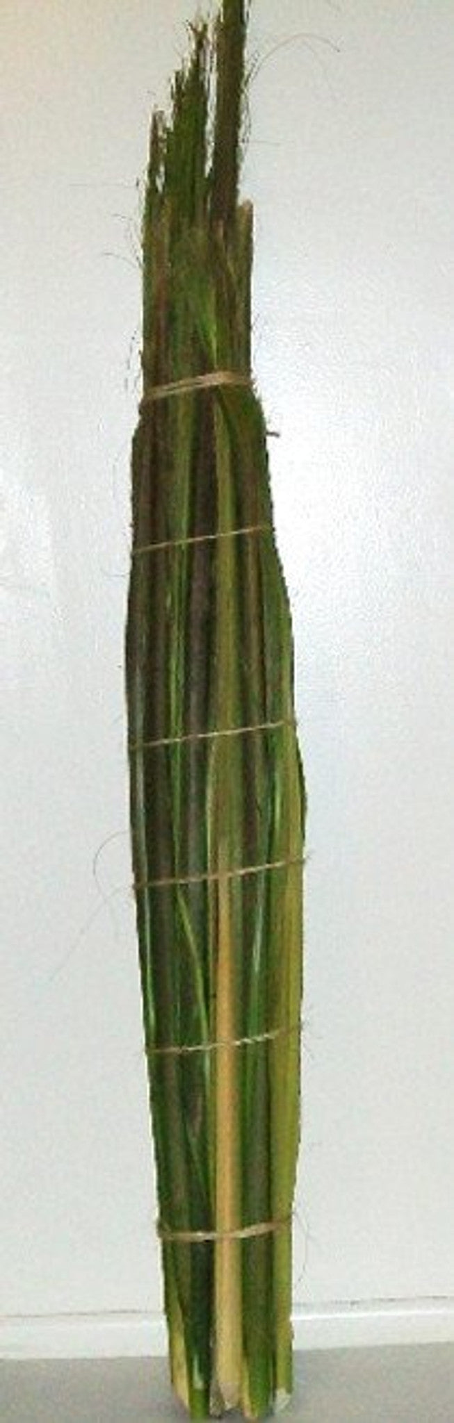 Palm Bud Head | Bundle of 25 Stalks