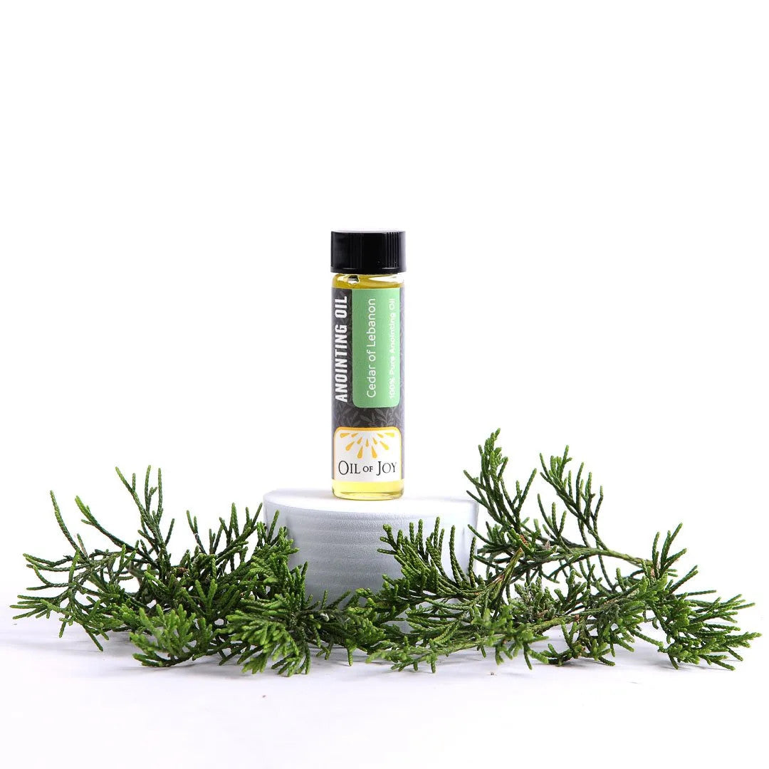 Cedars of Lebanon Anointing Oil | 1/4 oz Mini Bottle