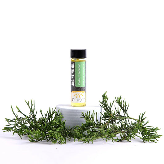 Cedars of Lebanon Anointing Oil | 1/4 oz Mini Bottle