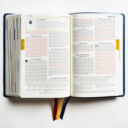 The Great Adventure Catholic Bible, Second Edition