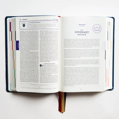The Great Adventure Catholic Bible, Second Edition