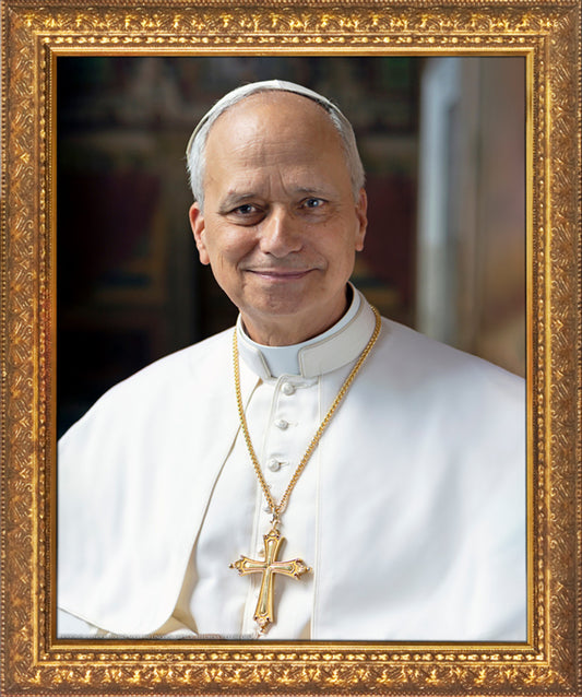 Pope Leo XIV Framed