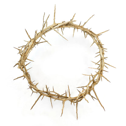 9" Crown of Thorns | Gift Boxed