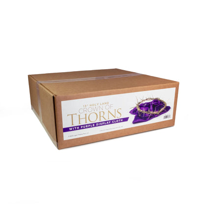 13" Crown of Thorns with Purple Cloth