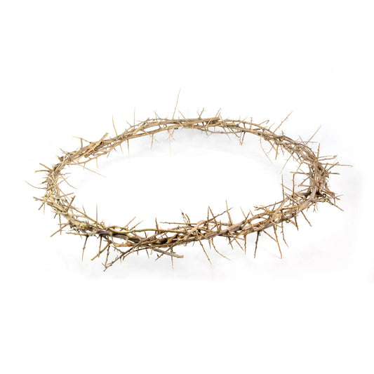 24" Crown of Thorns