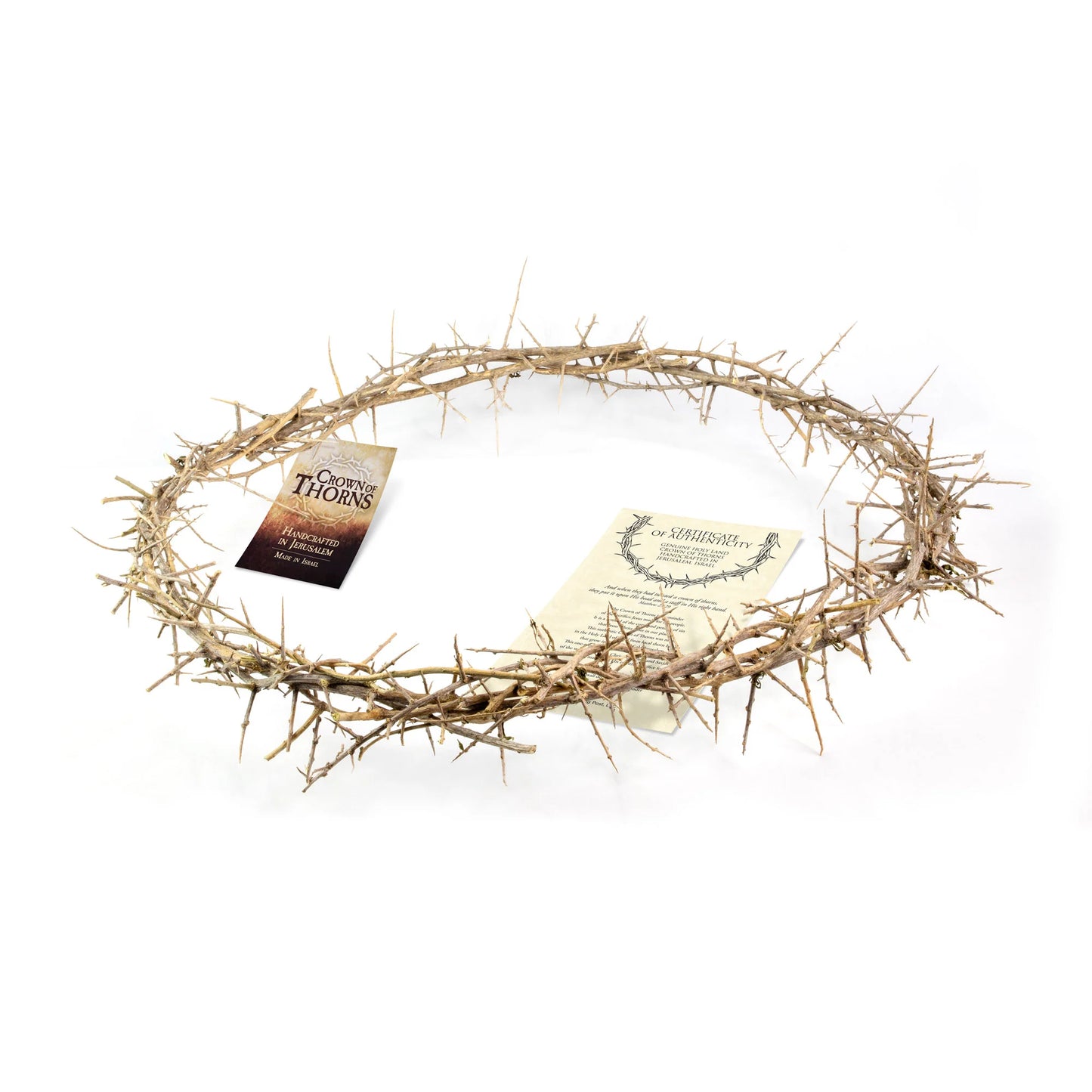 24" Crown of Thorns