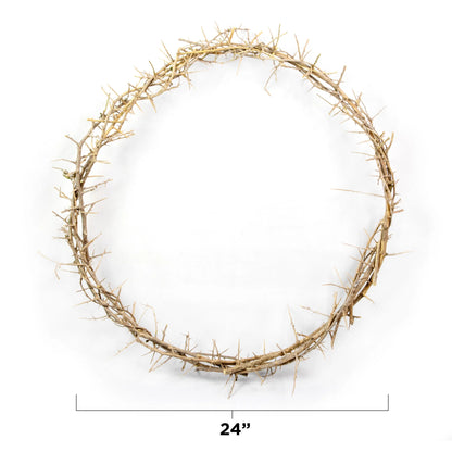 24" Crown of Thorns