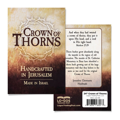 24" Crown of Thorns