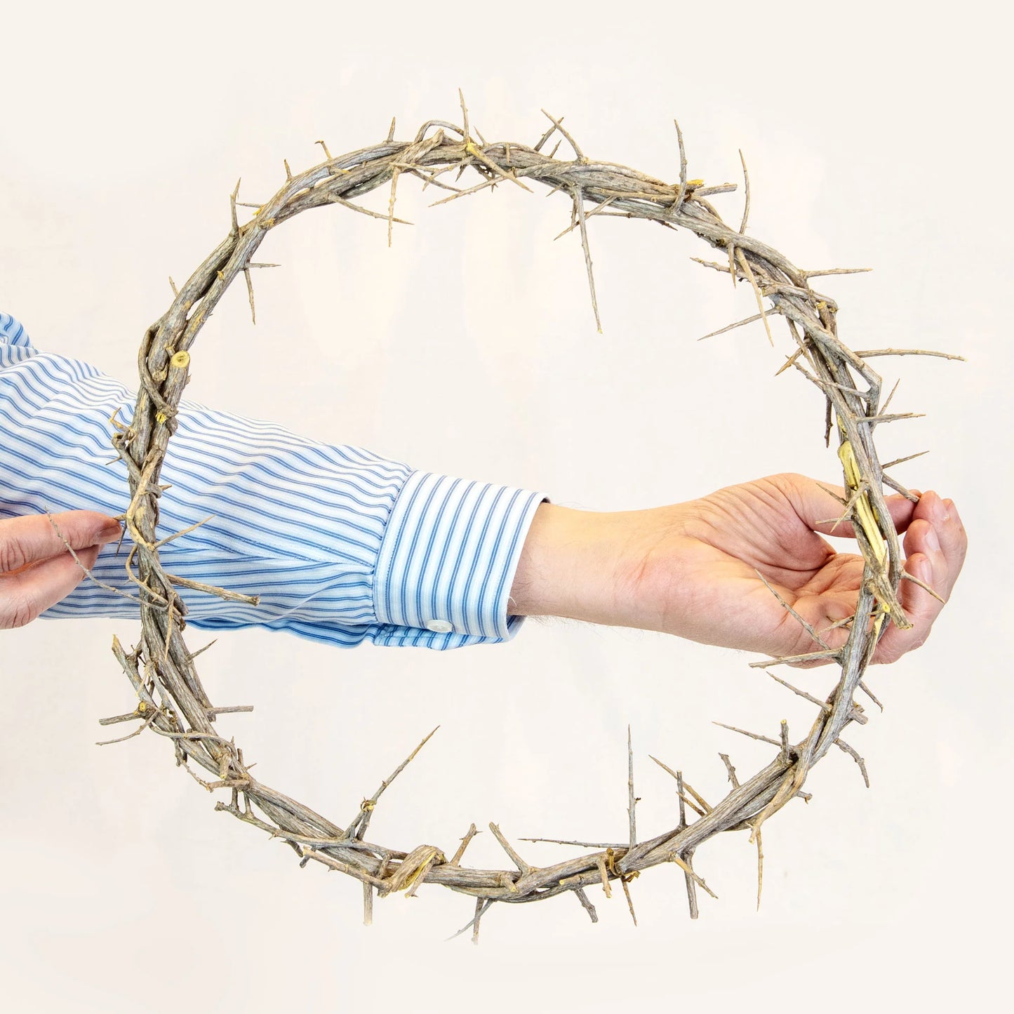 13" Crown of Thorns with Purple Cloth