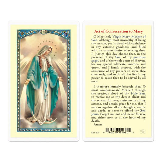Devotions of the Blessed Virgen Mary Holy Card