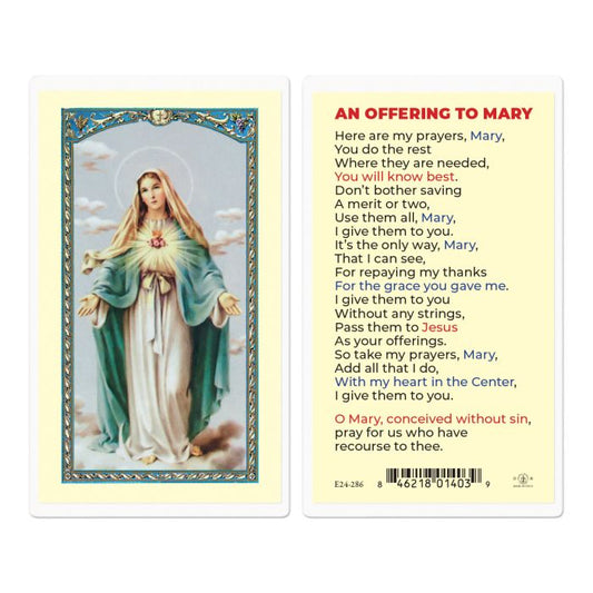 An Offering to Mary Immaculate Heart of Mary Holy Card