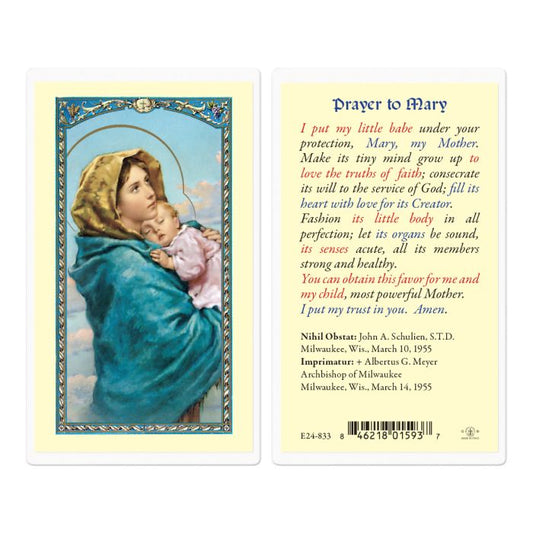 Prayer to Mary the Madonna of the Street Holy Card