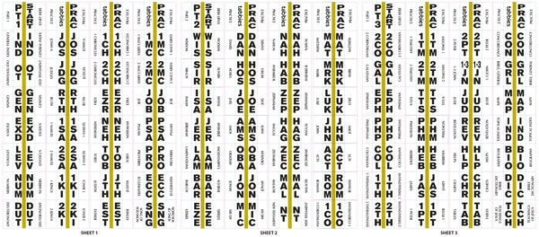 Spanish Large Print Bible Indexing Tabs | Gold | Catholic